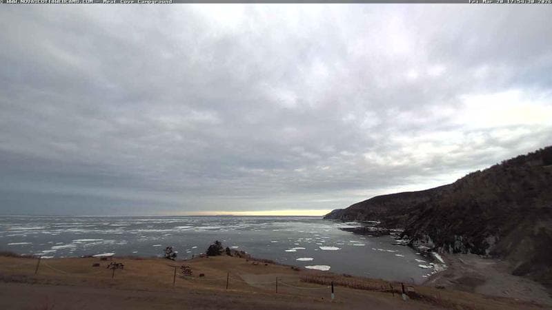 Meat Cove Campground