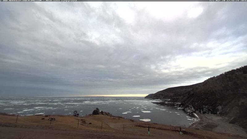 Meat Cove Campground