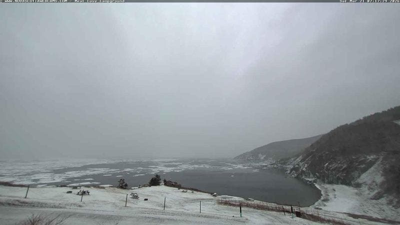 Meat Cove Campground