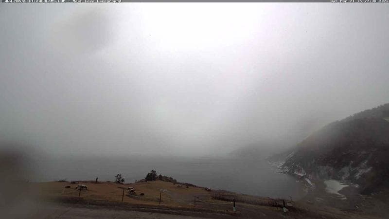 Meat Cove Campground