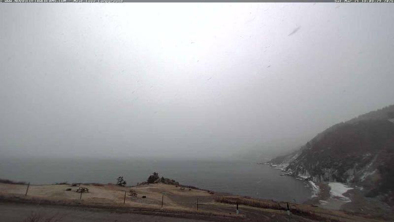 Meat Cove Campground