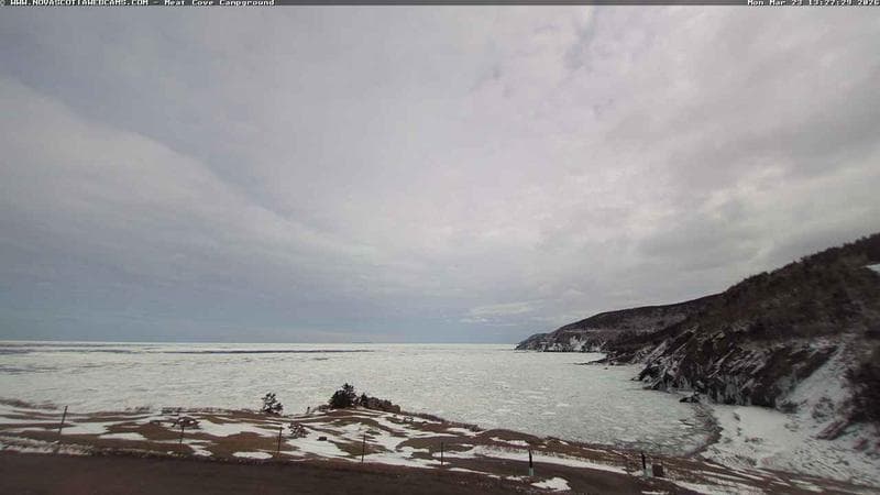 Meat Cove Campground