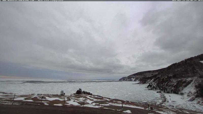 Meat Cove Campground