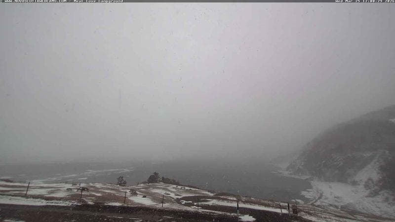 Meat Cove Campground