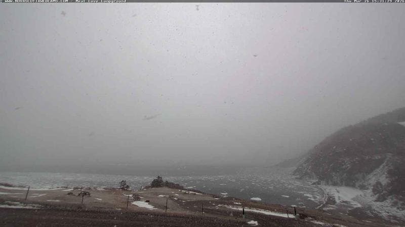 Meat Cove Campground