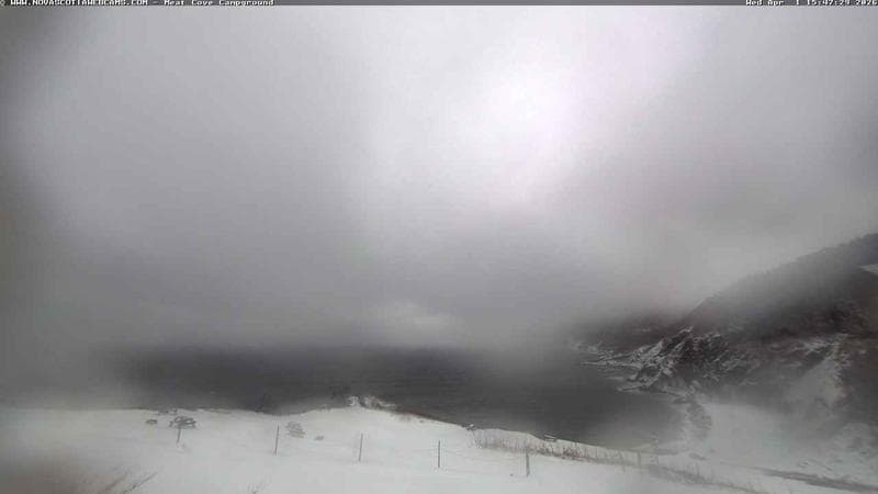 Meat Cove Campground