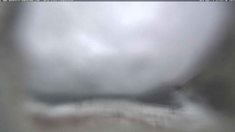 Meat Cove Campground