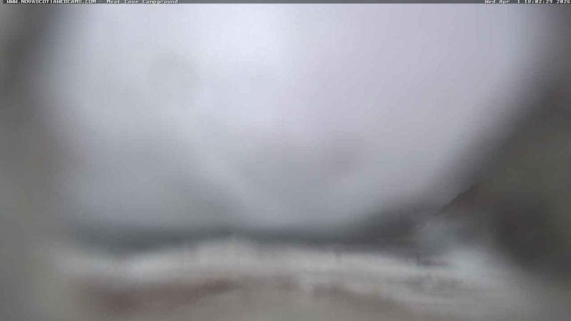 Meat Cove Campground