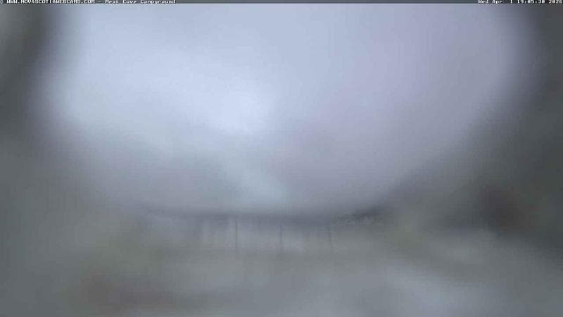 Meat Cove Campground