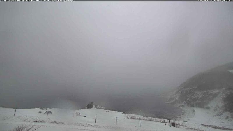 Meat Cove Campground