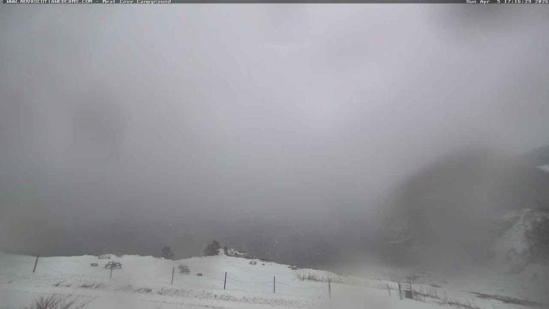 Meat Cove Campground