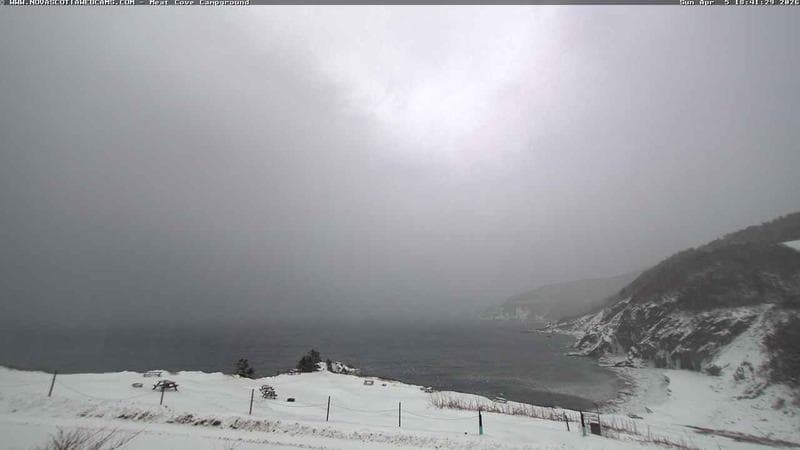 Meat Cove Campground