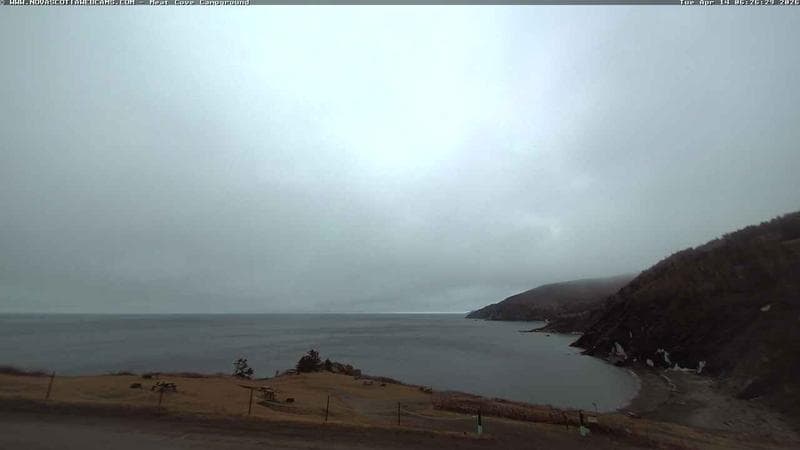 Meat Cove Campground