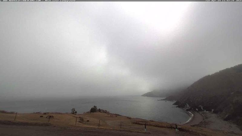 Meat Cove Campground