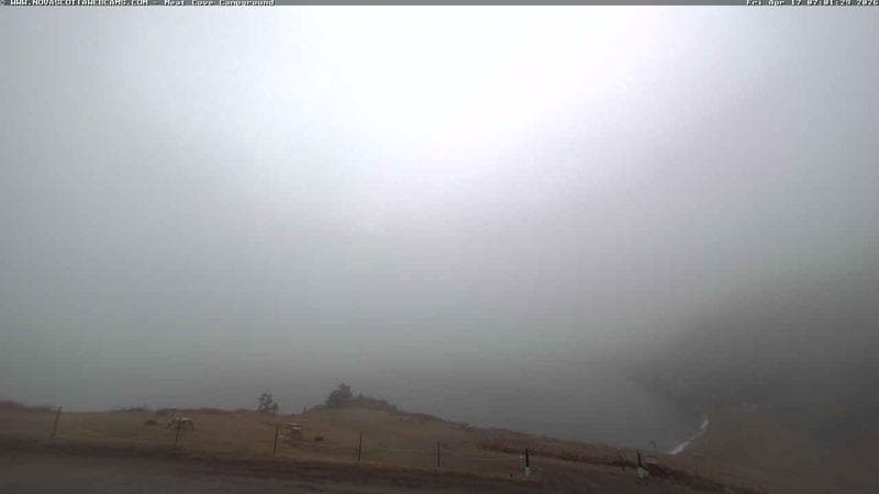 Meat Cove Campground