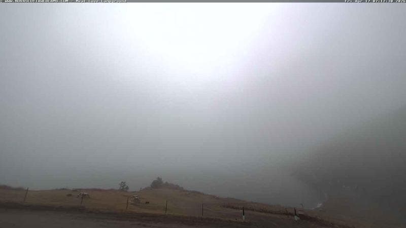 Meat Cove Campground