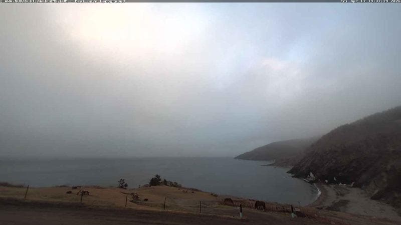 Meat Cove Campground