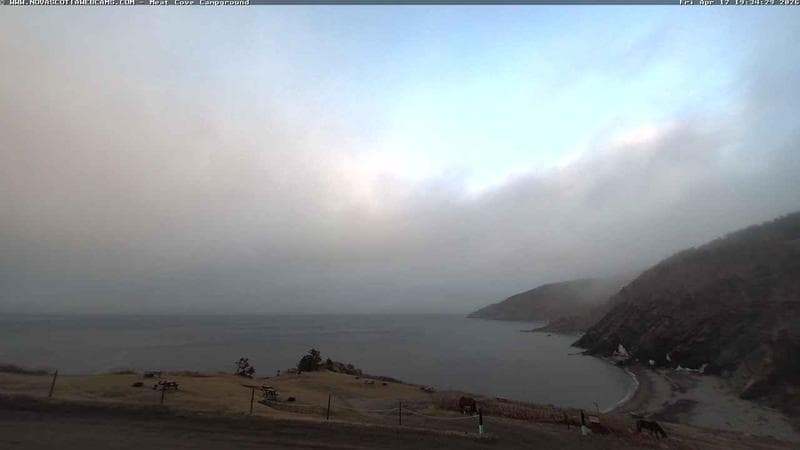 Meat Cove Campground