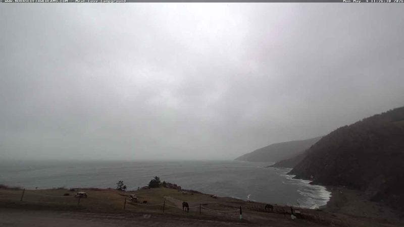Meat Cove Campground