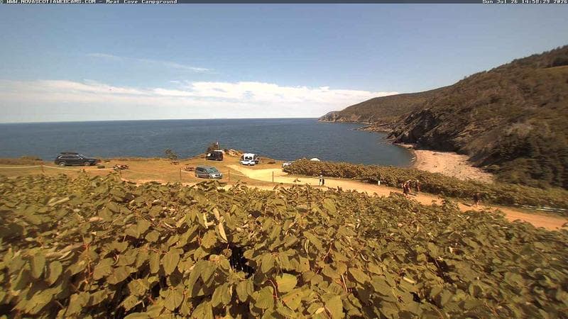 Meat Cove Campground