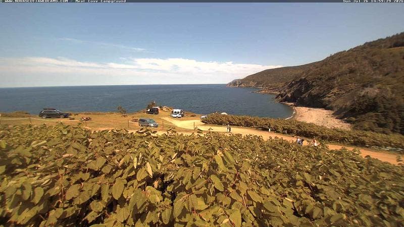 Meat Cove Campground