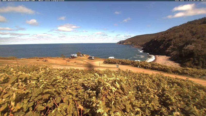 Meat Cove Campground