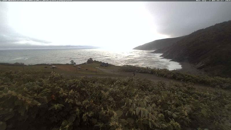 Meat Cove Campground