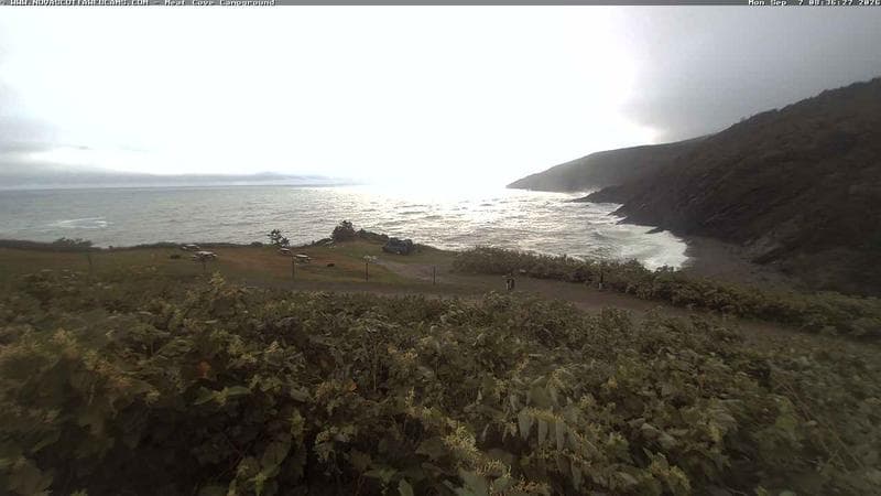 Meat Cove Campground