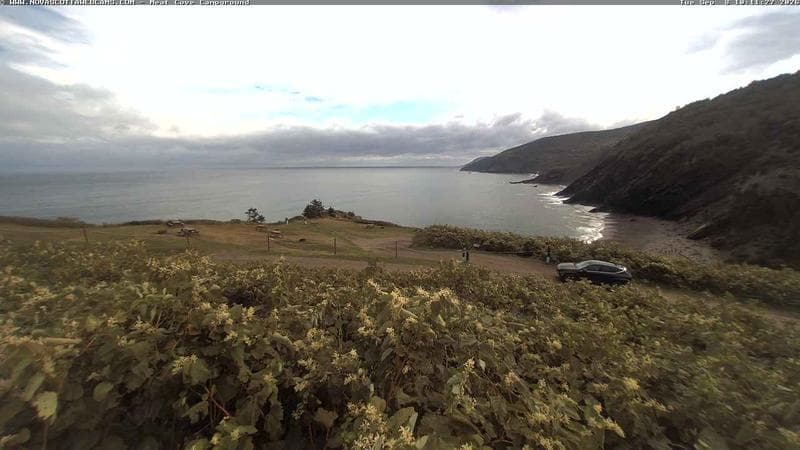 Meat Cove Campground