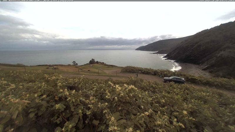 Meat Cove Campground