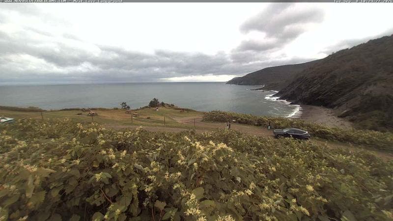 Meat Cove Campground