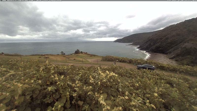 Meat Cove Campground