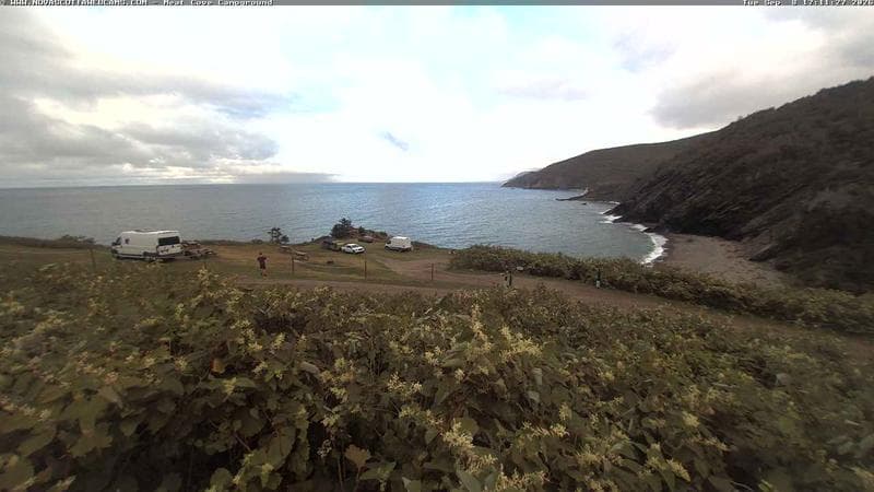 Meat Cove Campground