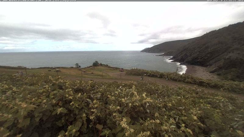 Meat Cove Campground