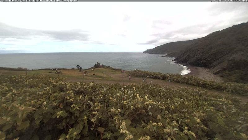 Meat Cove Campground