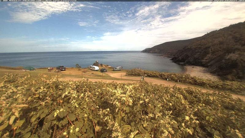 Meat Cove Campground
