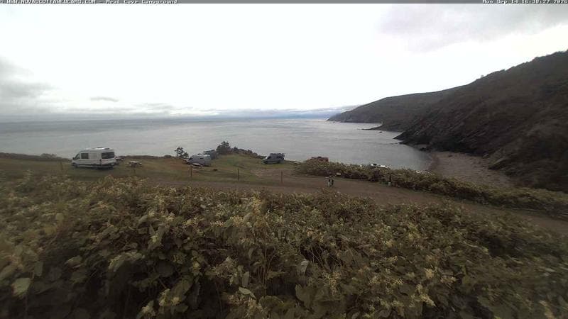 Meat Cove Campground