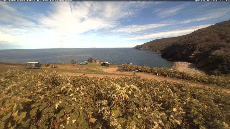 Meat Cove Campground