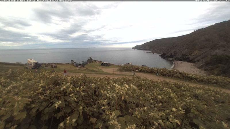 Meat Cove Campground