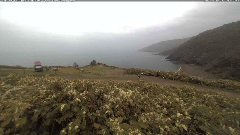 Meat Cove Campground