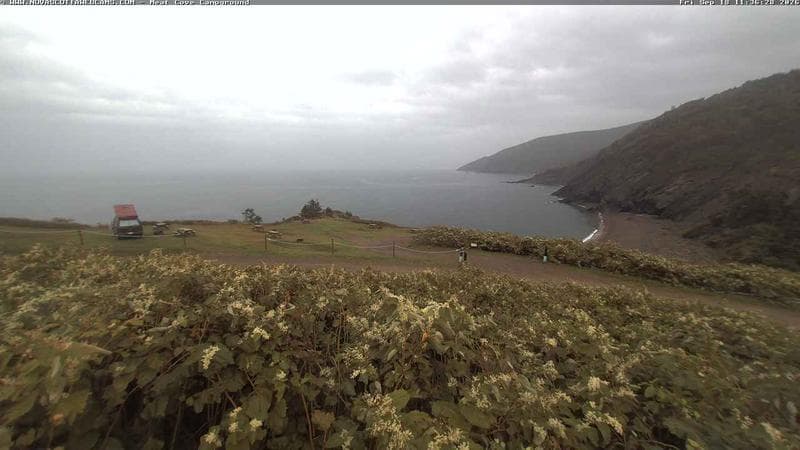 Meat Cove Campground
