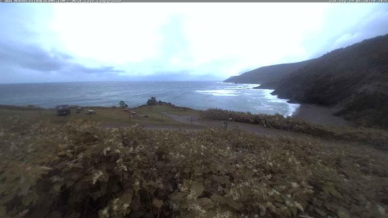 Meat Cove Campground