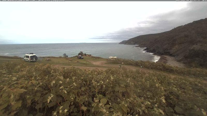 Meat Cove Campground