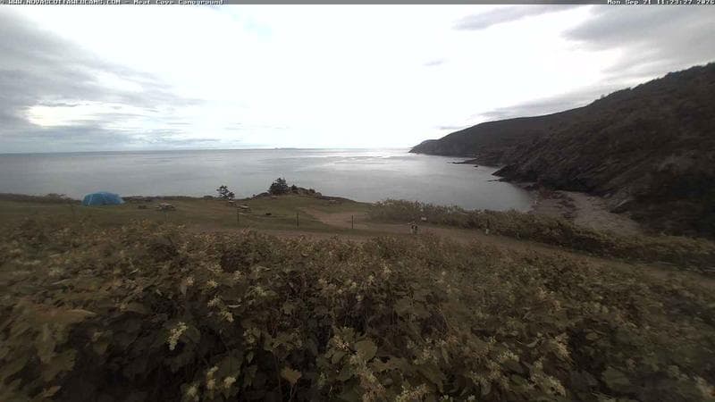 Meat Cove Campground