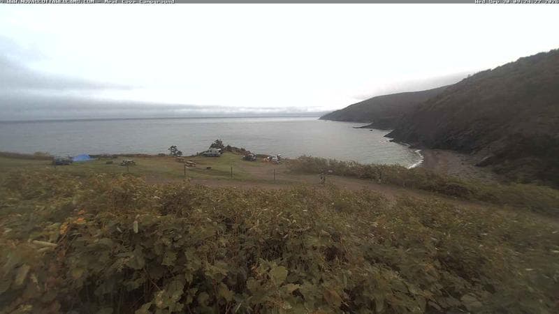 Meat Cove Campground