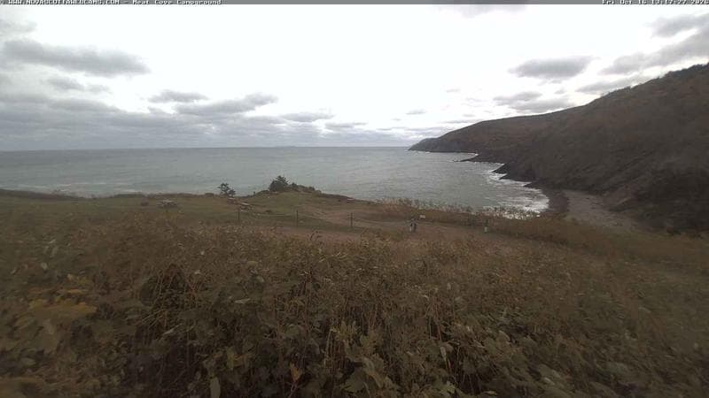 Meat Cove Campground