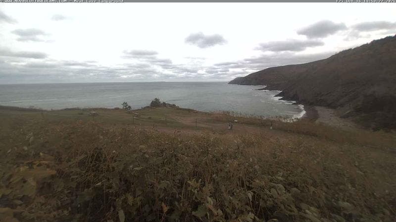 Meat Cove Campground