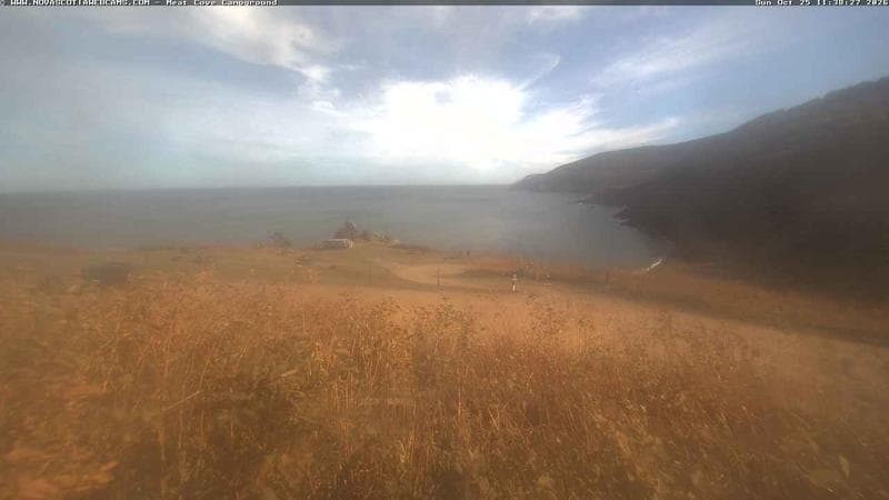 Meat Cove Campground