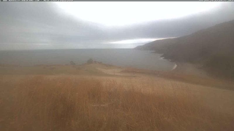 Meat Cove Campground