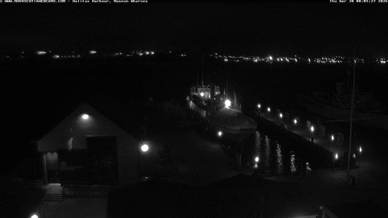 Museum Wharves